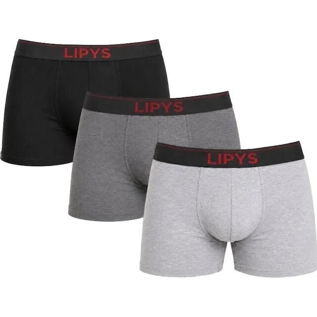 Kit 3 Cuecas Boxer Microfibra Lipys - Ref410