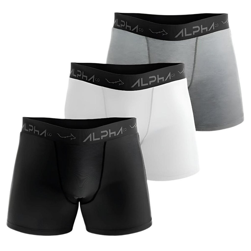Kit 3 Cuecas Cotton Masculinas Dry Academia - Alpha