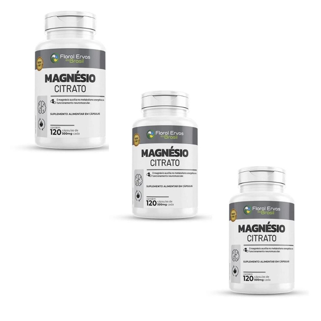Kit 3 Magnésio Citrato 500mg 3x120 cps Floral Ervas