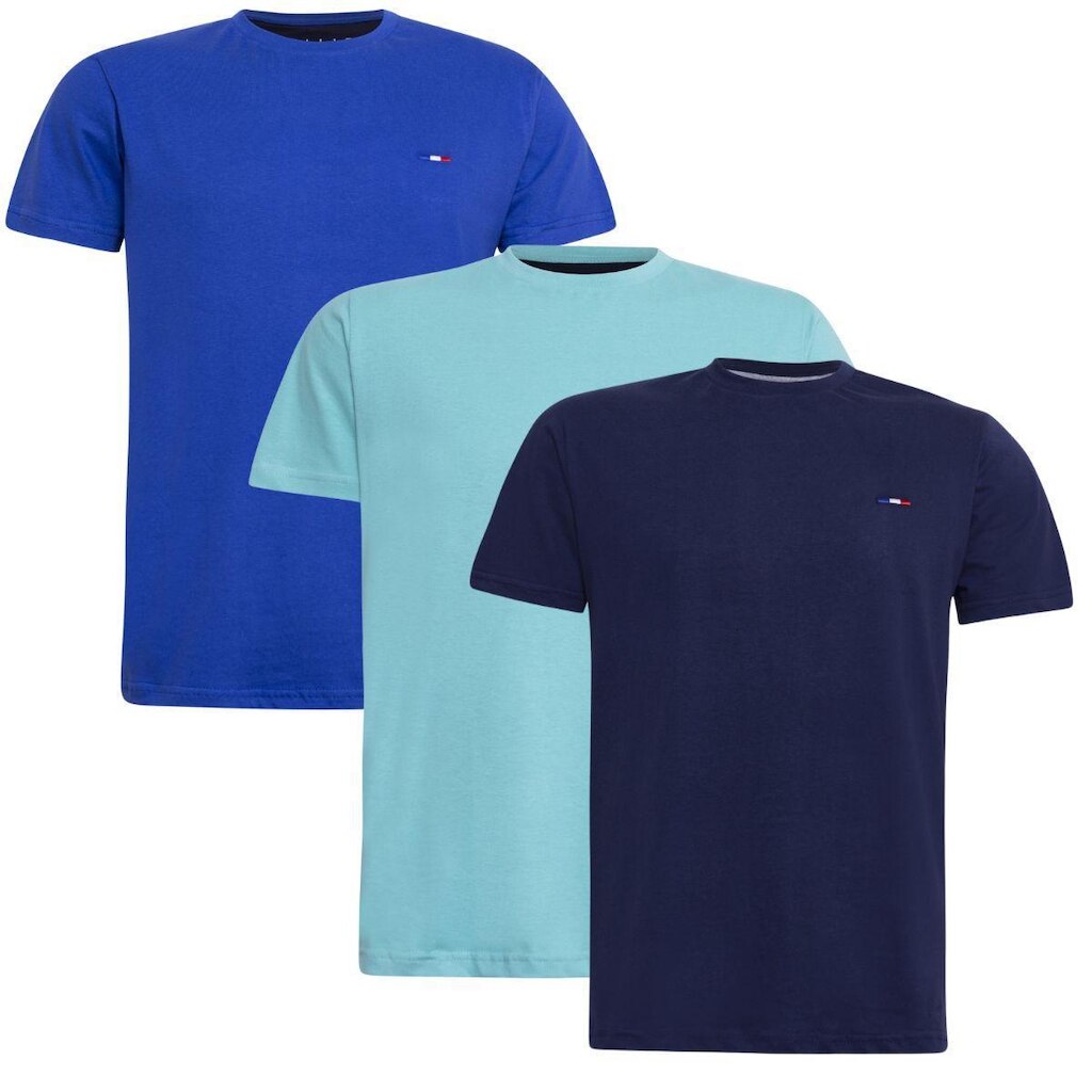 Kit 3 Peças Camisetas Básicas Masculina Industrie em Algodão Premium no  Clássico Bordado França