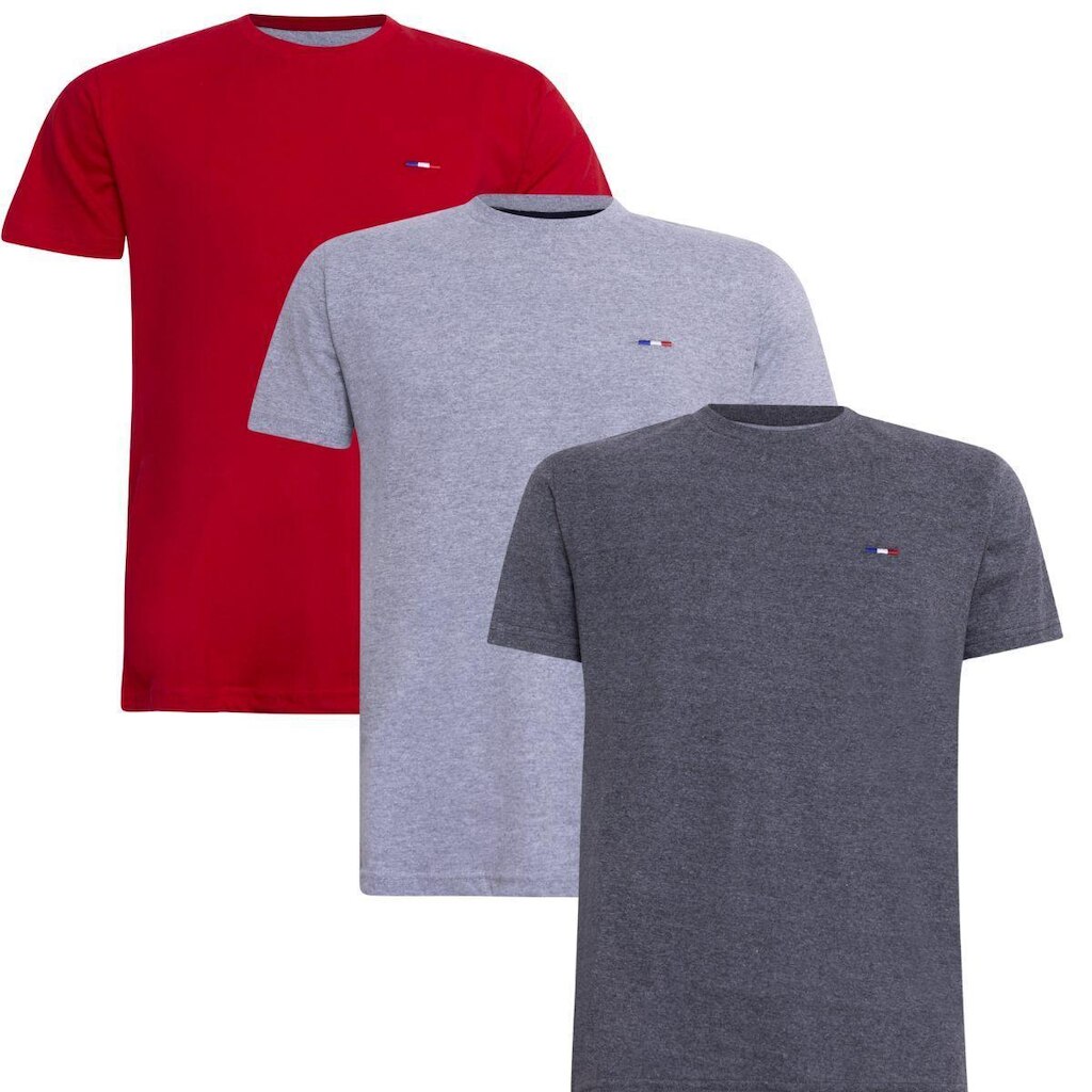 Kit 3 Peças Camisetas Básicas Masculina Industrie em Algodão Premium no Estilo  Bordado França