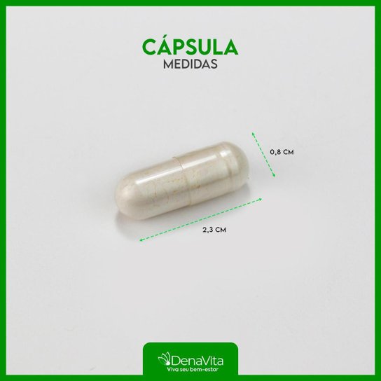 Kit 3x Pote Quitosana e Psyllium, Triptofano, Ácido Pantotênico, Denavita