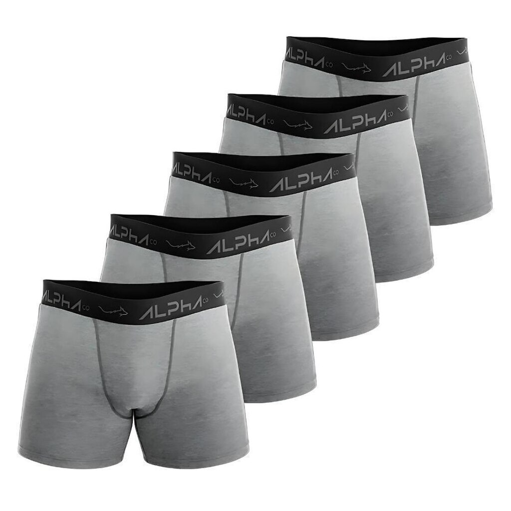 Kit 5 Cuecas Cotton Masculinas Dry Academia - Alpha