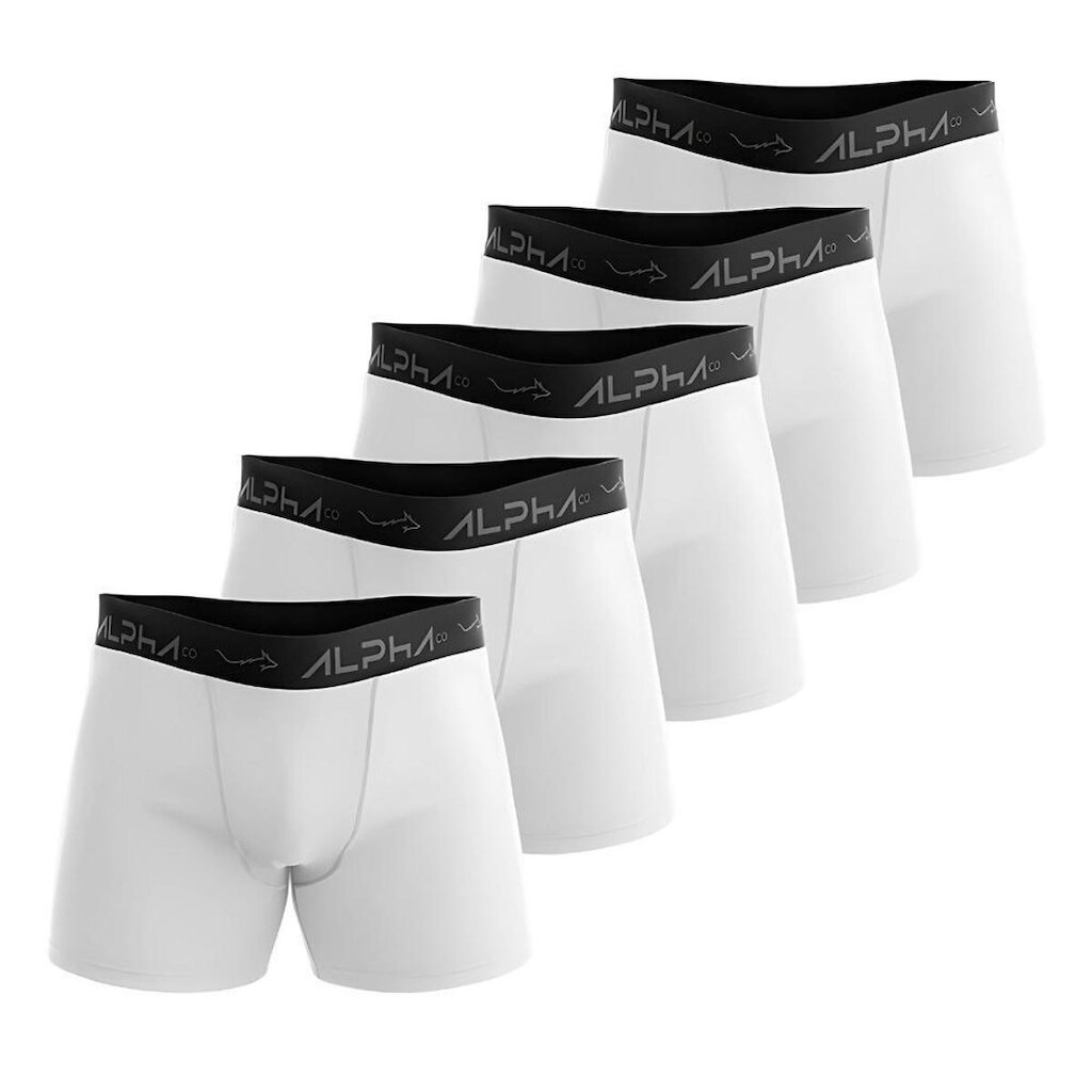 Kit 5 Cuecas Cotton Masculinas Dry Academia - Alpha