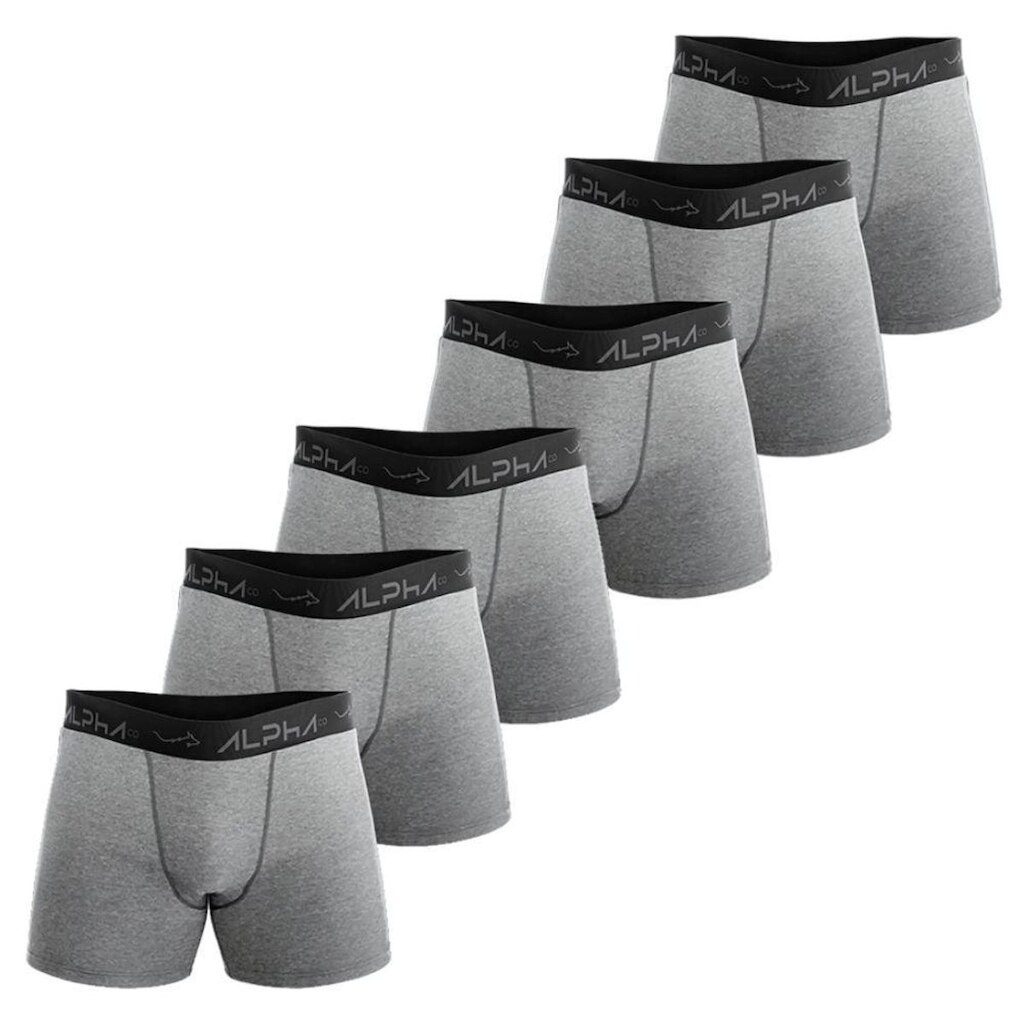 Kit 6 Cuecas Cotton Masculinas Dry Academia - Alpha