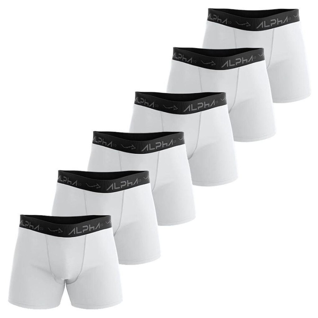 Kit 6 Cuecas Cotton Masculinas Dry Academia - Alpha