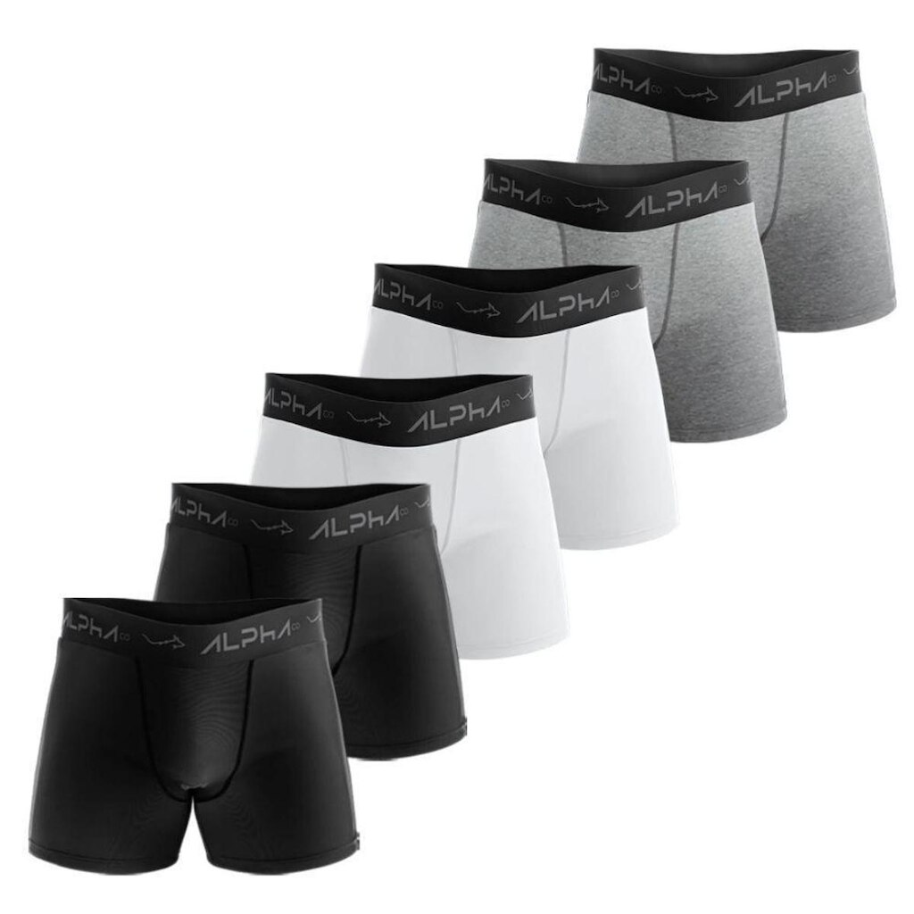 Kit 6 Cuecas Cotton Masculinas Dry Academia - Alpha