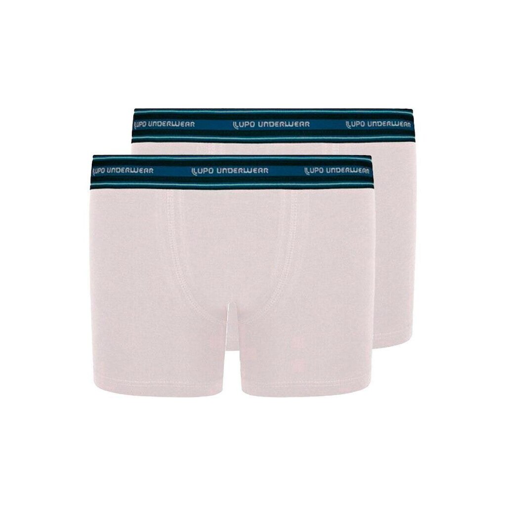 Kit com 2 Cuecas Infantil Boxer Lupinho 141-003 Branco