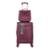 Kit Conjunto Combo Viagem Mala Média Super Leve + Frasqueira - Vinho