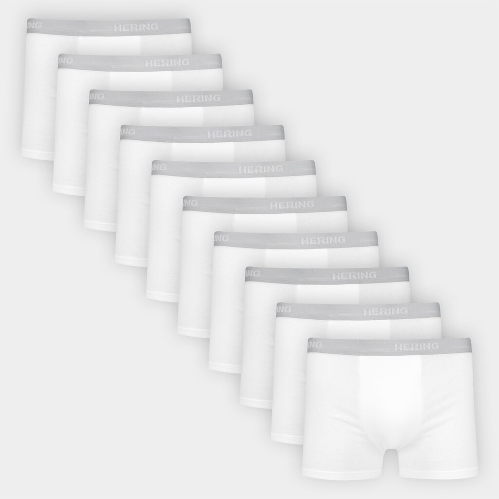 Kit Cueca Boxer Hering 10 Peças