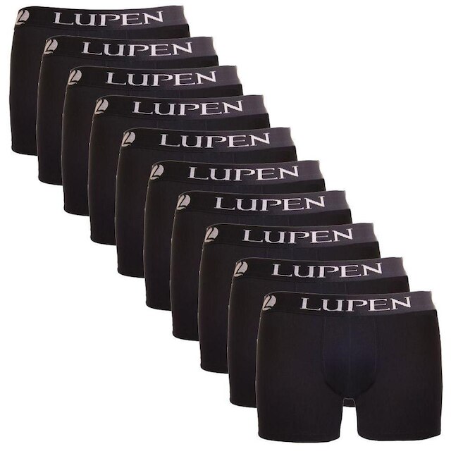 Kit Cueca Boxer Microfibra Lupen 10 Peças