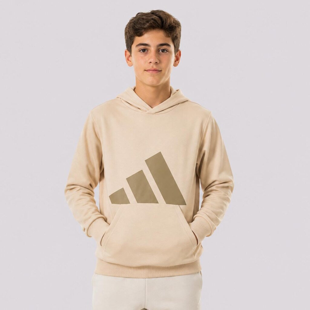 Moletom Adidas Essentials Big Logo Juvenil Bege