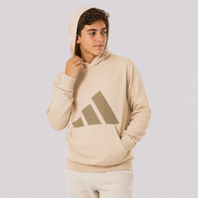Moletom Adidas Essentials Big Logo Juvenil Bege