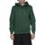 Moletom DC Shoes Canguru Highland 305G WT24 - Verde