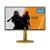 Monitor Gamer AOC Gaming CS25G 24,5" Full HD 310Hz 0,3ms HDMI CS25G/78 - Preto