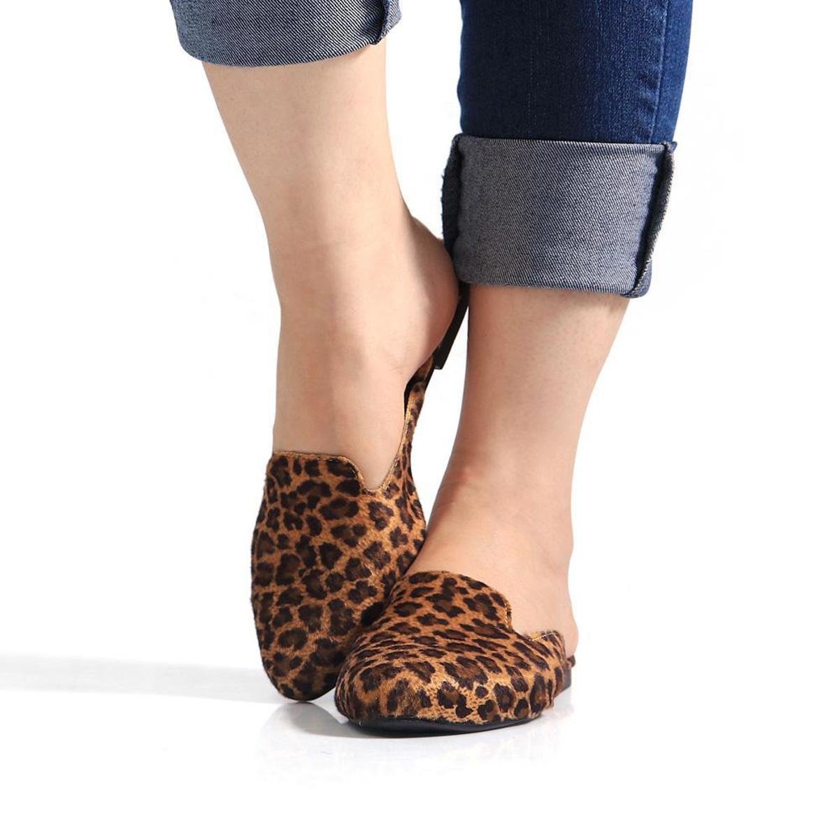 Enzo Felline Zapataria - Calçados - Compre Já | Zattini