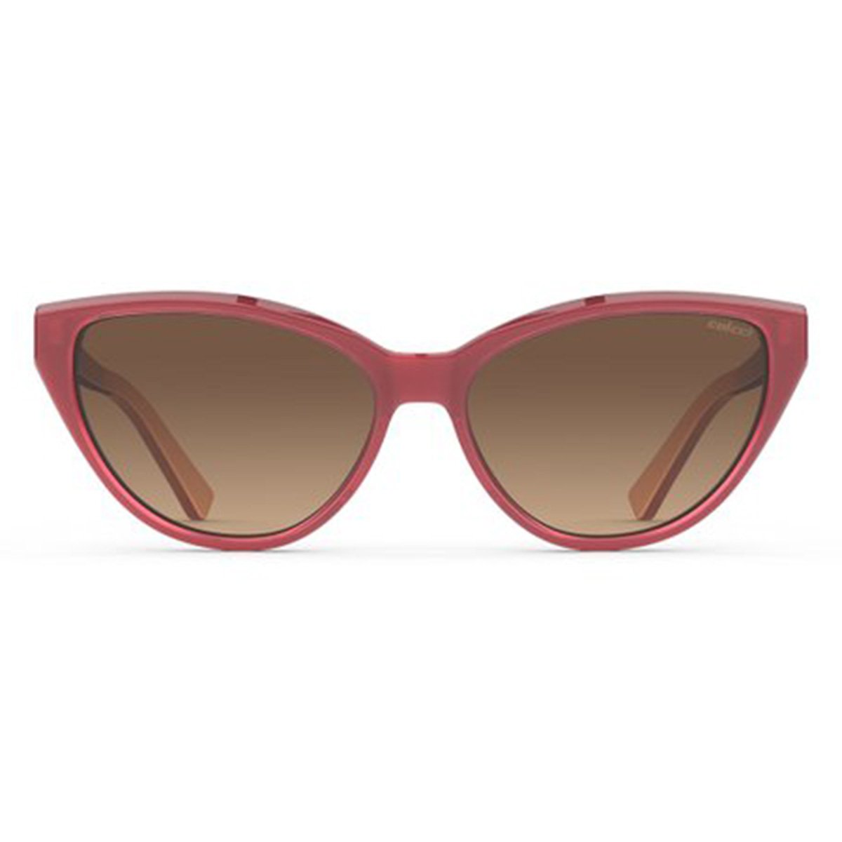 Óculos de Sol Colcci C0189 Feminino Menor preço em Óculos de Sol Colcci C0189 Feminino