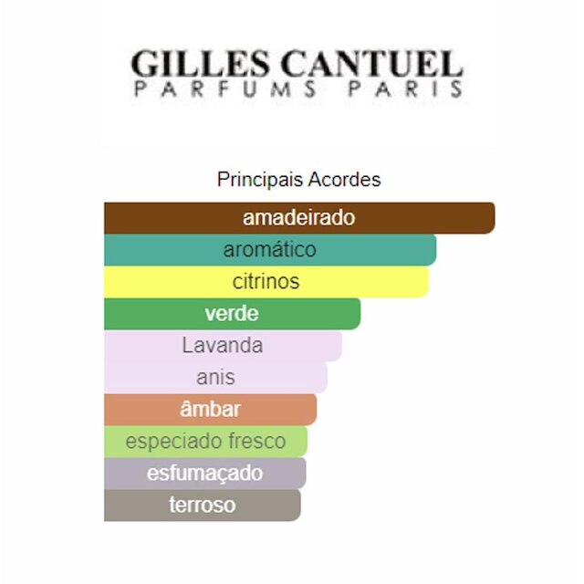 Perfume Arsenal Grey EDP Gilles Cantuel Masculino 100ml