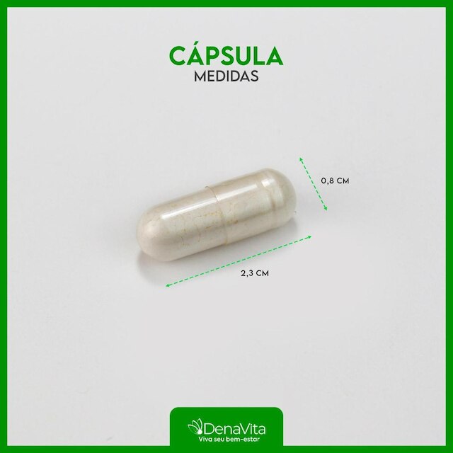 Quitosana e Psyllium, Triptofano, Ácido Pantotênico, Denavita