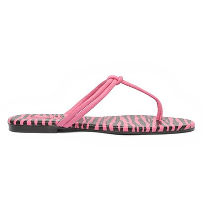 Rasteira Shoestock Zebra Color - Feminino