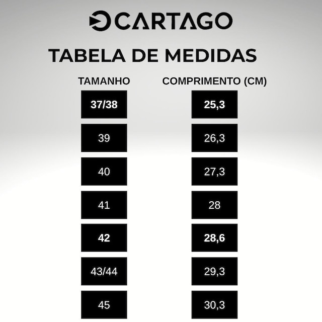 Sandália Masculina Cartago Tiras Duplas Resistente