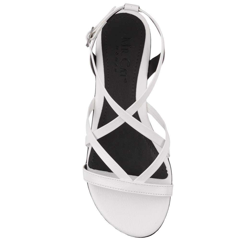 sandalia rasteira mr cat