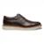 Sapato Derby Nautica Ref 99001 Masculino - Café