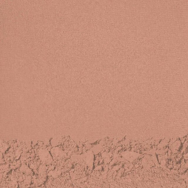 Shiseido Refil Compact Foundation Dark Beige Protetor Solar Compacto 12g