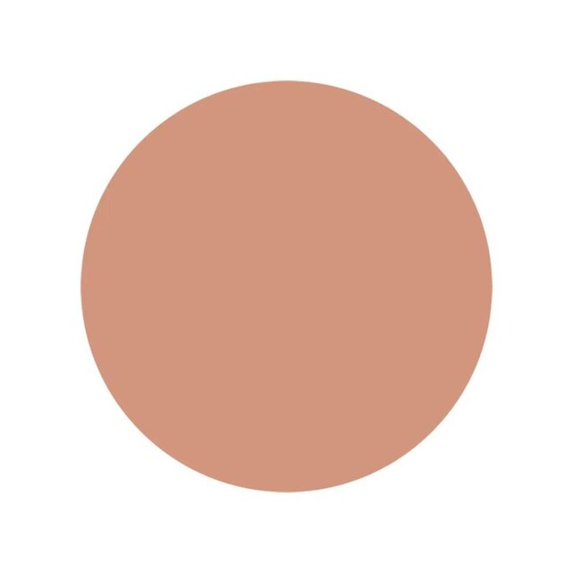 Shiseido UV Protective Compact Foundation SPF30 Protetor Solar Facial Compacto Refil 12g