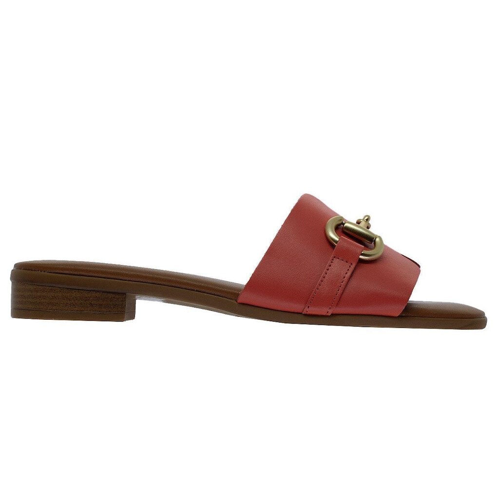 Tamanco Rasteiro Feminino Arezzo C30548 Laranja