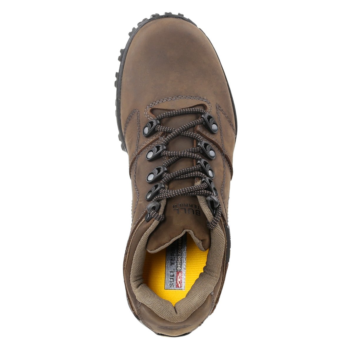 tênis bull terrier fox terrier low