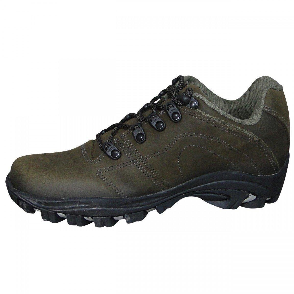 tênis bull terrier fox terrier low