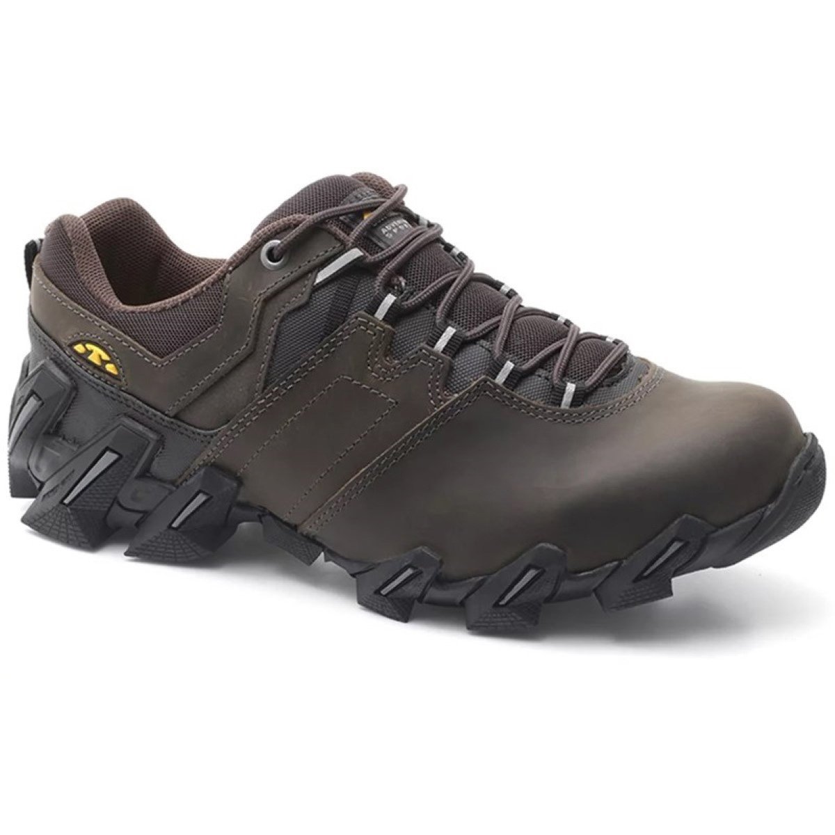 bull terrier camuflado